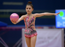 Bədii gimnastika üzrə 22-ci Azərbaycan Birinciliyi və Bölgələrarası Kubok yarışları. Bakı, Azərbaycan, 17 dekabr 2015